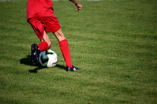 九游娱乐官网 (jiuyou)-法甲营养恢复系统提升球员赛季稳定性调查